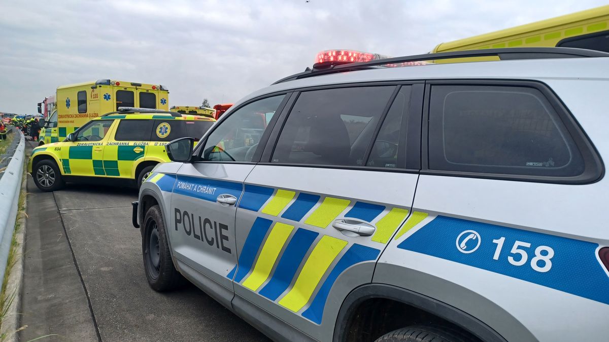 Kriminalisté z Ostravy pátrají po vrahovi staršího muže. Tělo objevili v bytě